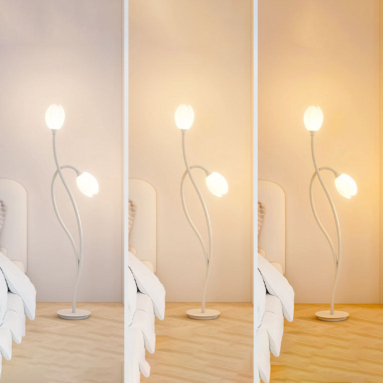 Contemporary Creative Tulip Iron Rolled Plastic 1-Light Standing Floor Lamp For Living Room