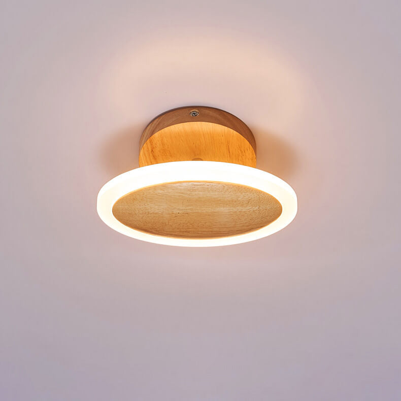 Modern Minimalist Log Oval LED Semi-Flush Mount Ceiling Light