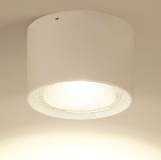 Nordic Cylinder Spotlight LED Flush Mount Ceiling Light
