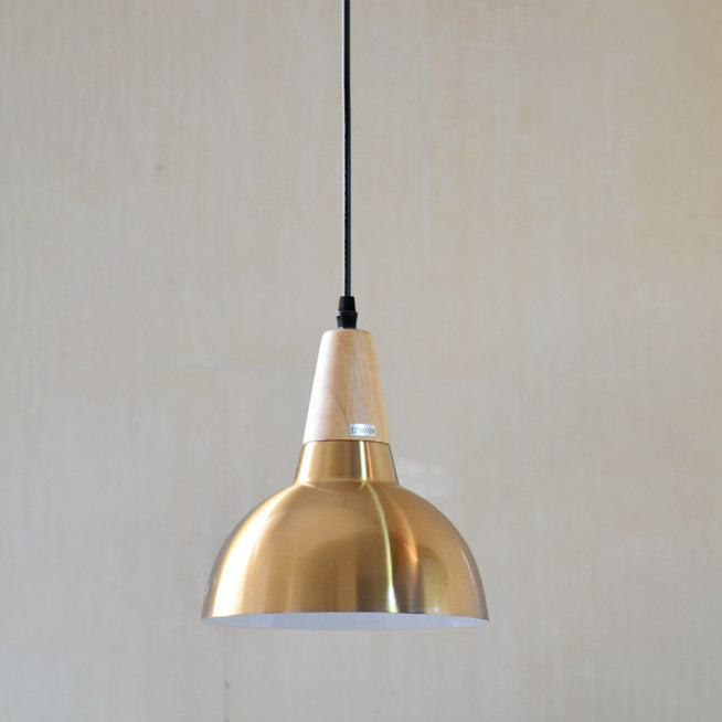 Contemporary Simplicity Iron Semicircle Shade 1-Light Pendant Light For Living Room