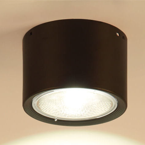 Nordic Cylinder Spotlight LED Flush Mount Ceiling Light