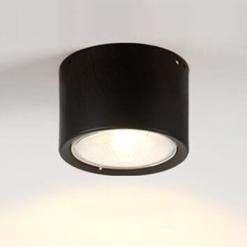 Nordic Cylinder Spotlight LED Flush Mount Ceiling Light