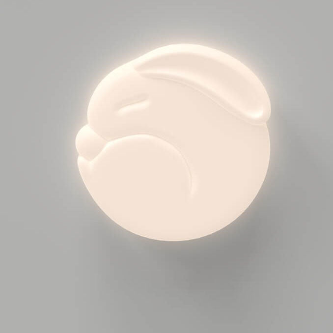 Modern Minimalist Moon Rabbit Design PE Iron LED Flush Mount Ceiling Light
