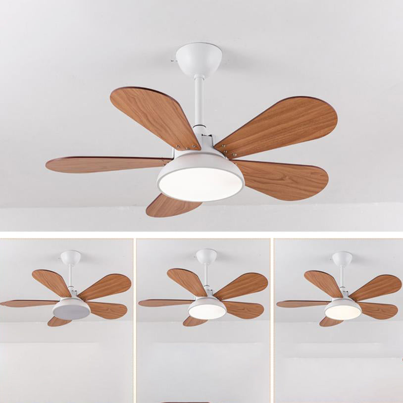 Simple Colorful Round Fan Leaf Kids Downrods Ceiling Fan Light
