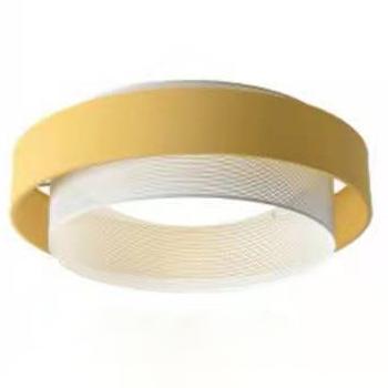 Nordic Minimalist Post-modern Creative Flush Mount Ceiling Lamp