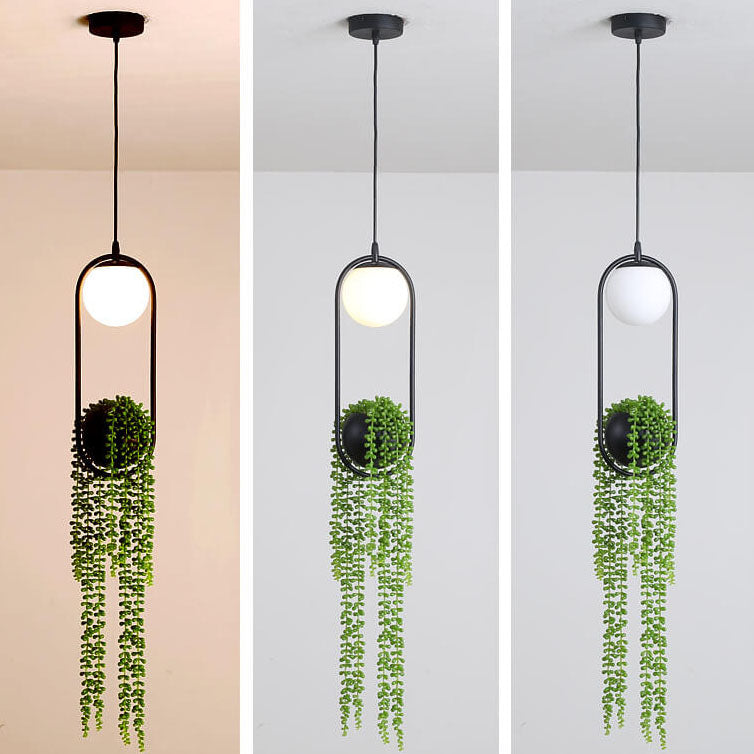 Glass Ball 1-Light Plant Hanging Pendant Light
