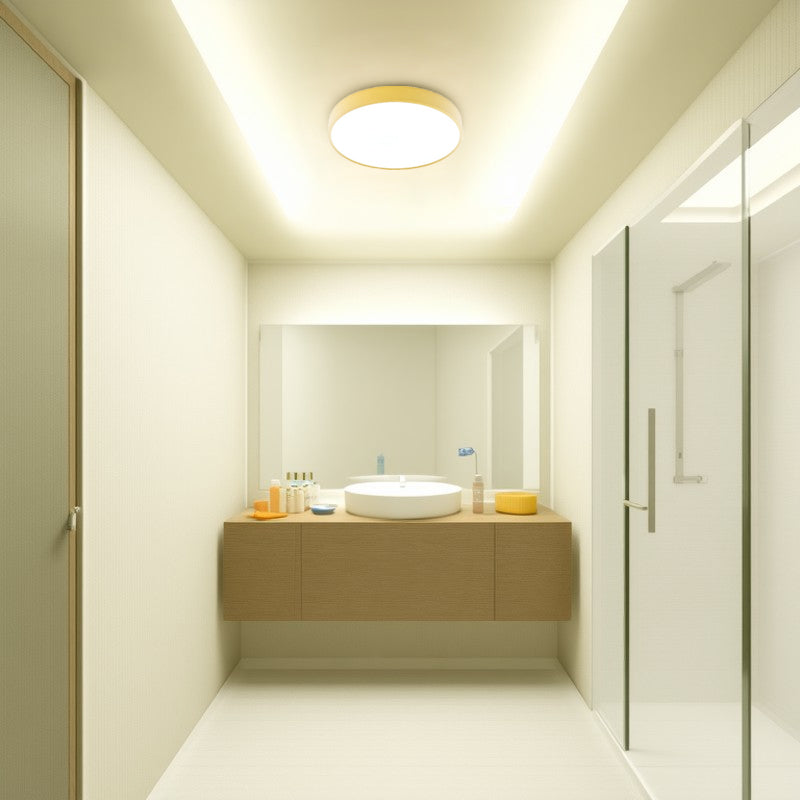 Modern Simplicity Round Acrylic Iron LED Flush Mount Ceiling Light For Living Room