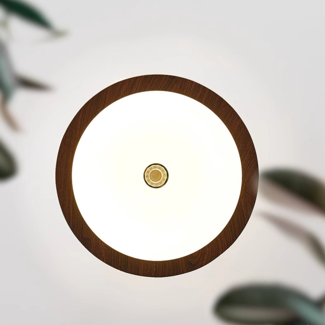 Traditional Vintage Iron Acrylic Crown Round LED Semi-Flush Mount Ceiling Light For Bedroom & Living Room