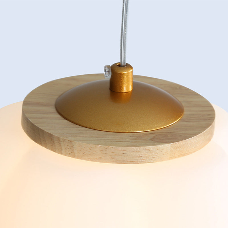 Modern Minimalist Round Iron Acrylic 1-Light Pendant Light For Living Room
