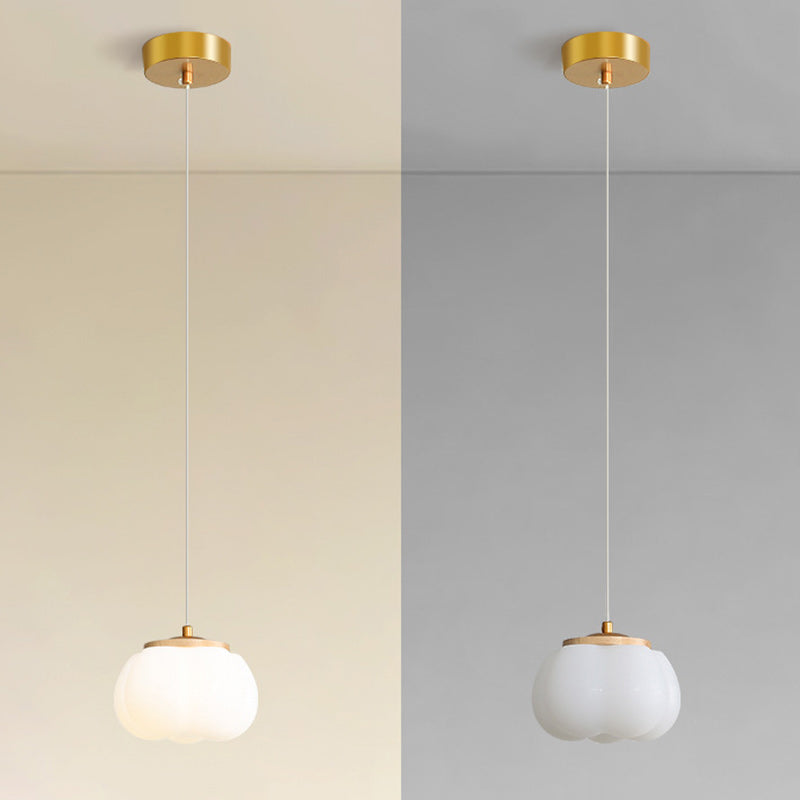 Modern Minimalist Round Iron Acrylic 1-Light Pendant Light For Living Room