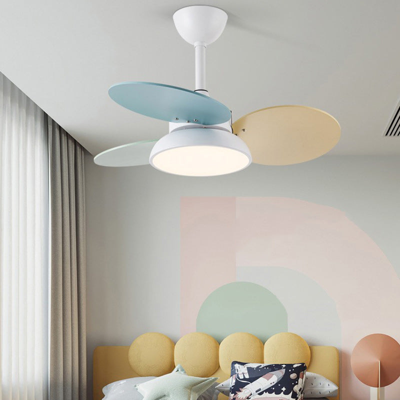Contemporary Scandinavian Acrylic Shade Solid Wood Oval Fan Blade LED Downrod Ceiling Fan Light For Living Room