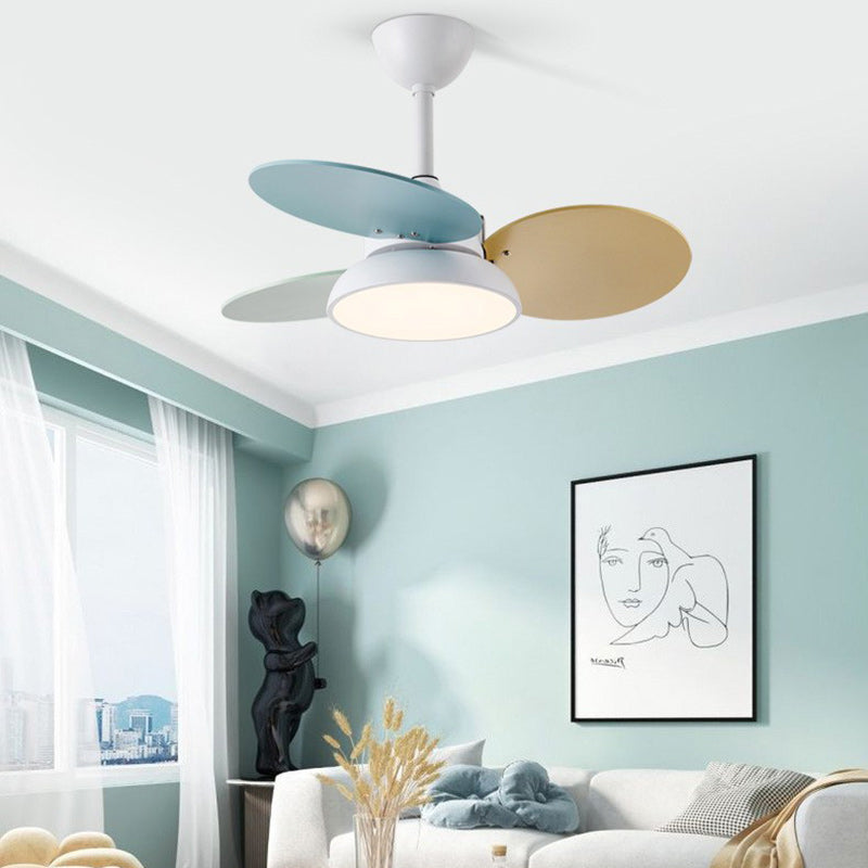 Contemporary Scandinavian Acrylic Shade Solid Wood Oval Fan Blade LED Downrod Ceiling Fan Light For Living Room