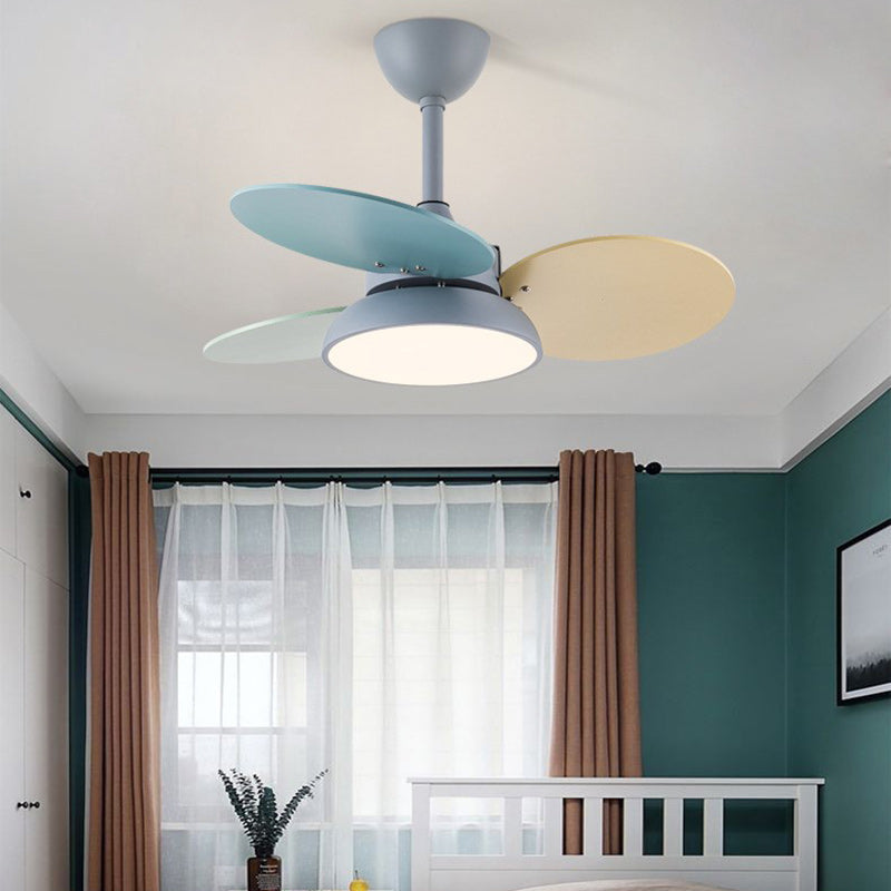 Contemporary Scandinavian Acrylic Shade Solid Wood Oval Fan Blade LED Downrod Ceiling Fan Light For Living Room