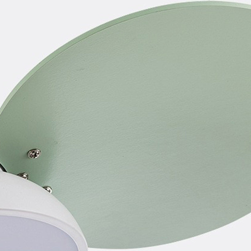 Contemporary Scandinavian Acrylic Shade Solid Wood Oval Fan Blade LED Downrod Ceiling Fan Light For Living Room