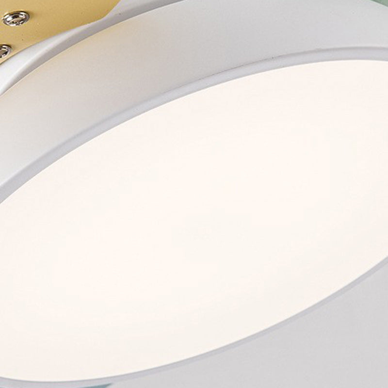 Contemporary Scandinavian Acrylic Shade Solid Wood Oval Fan Blade LED Downrod Ceiling Fan Light For Living Room