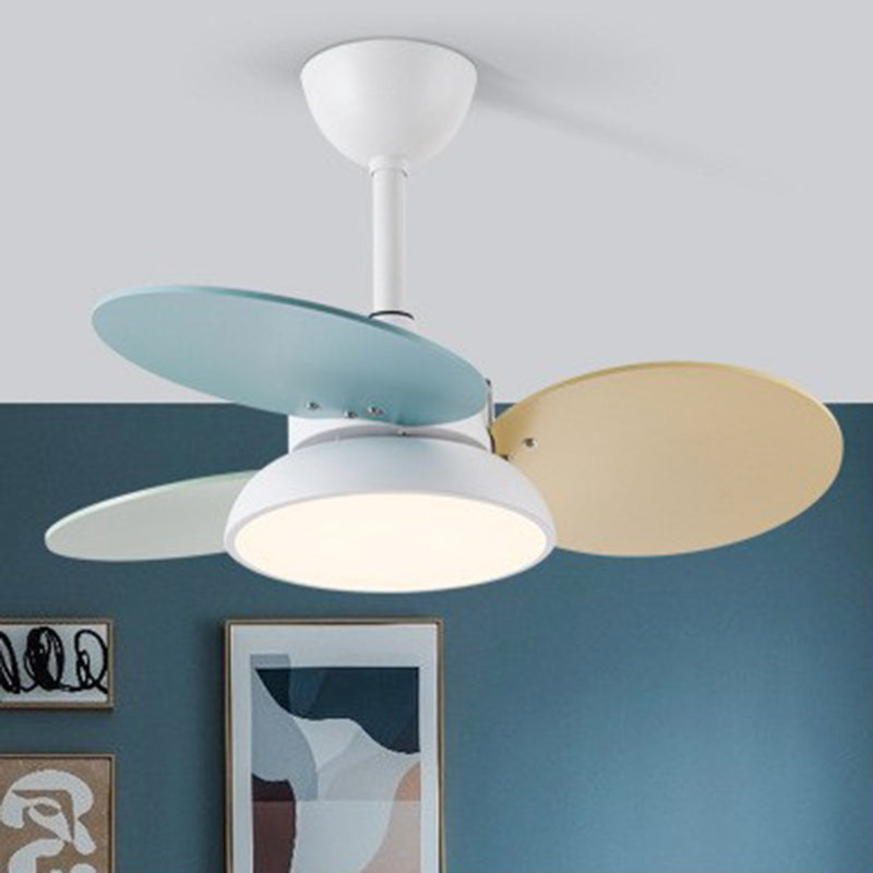 Contemporary Scandinavian Acrylic Shade Solid Wood Oval Fan Blade LED Downrod Ceiling Fan Light For Living Room