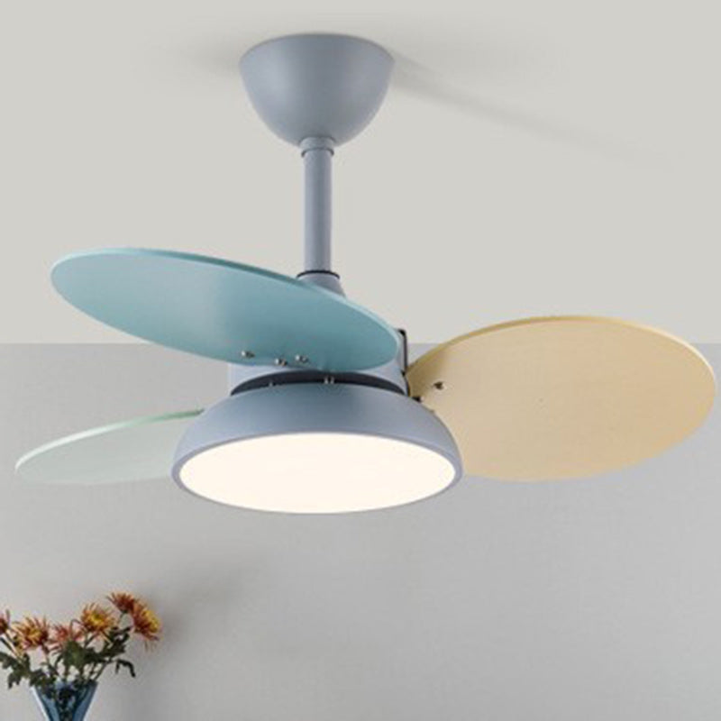 Contemporary Scandinavian Acrylic Shade Solid Wood Oval Fan Blade LED Downrod Ceiling Fan Light For Living Room