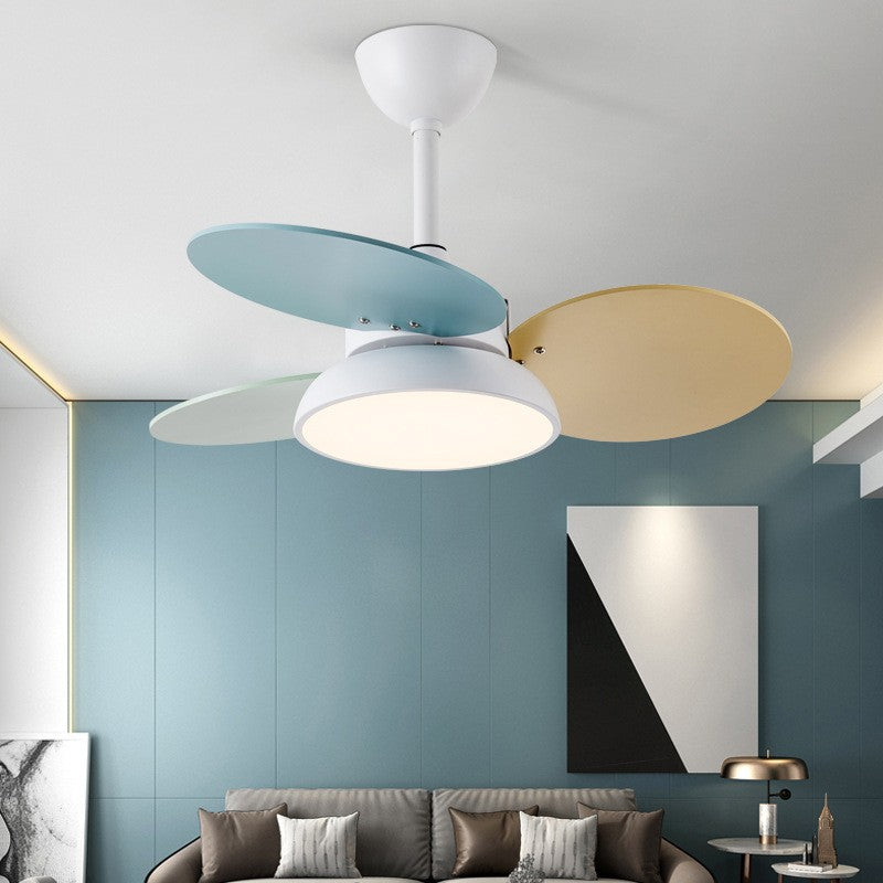 Contemporary Scandinavian Acrylic Shade Solid Wood Oval Fan Blade LED Downrod Ceiling Fan Light For Living Room