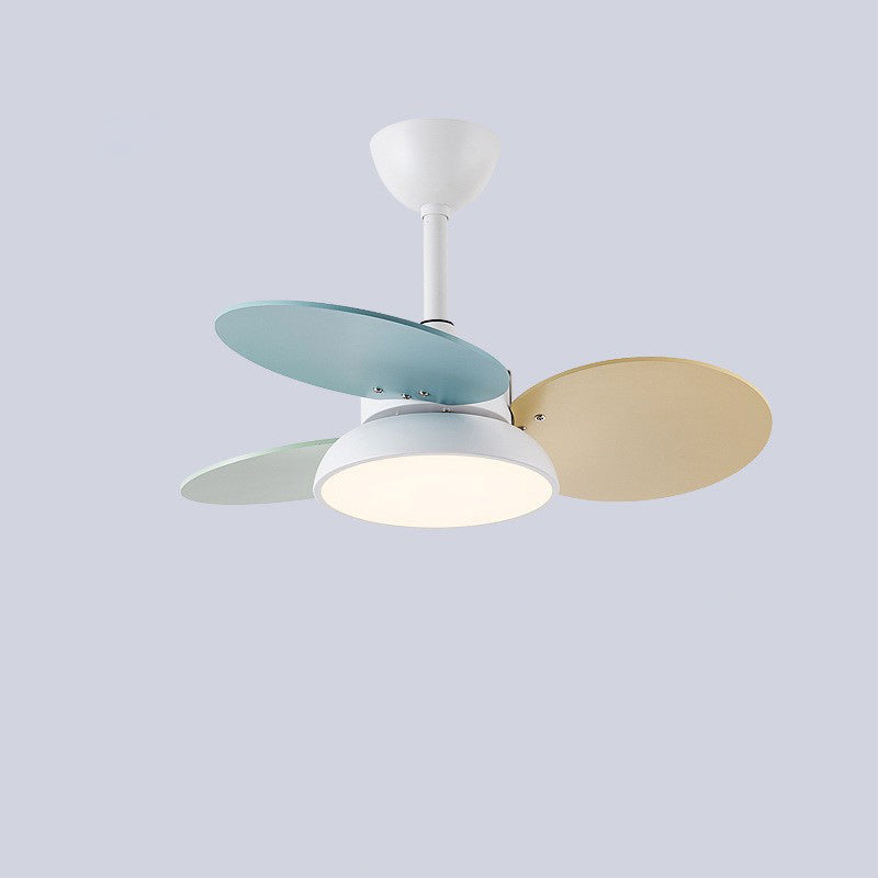 Contemporary Scandinavian Acrylic Shade Solid Wood Oval Fan Blade LED Downrod Ceiling Fan Light For Living Room