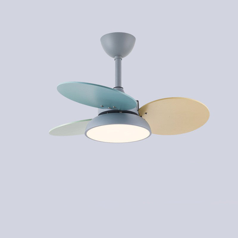 Contemporary Scandinavian Acrylic Shade Solid Wood Oval Fan Blade LED Downrod Ceiling Fan Light For Living Room