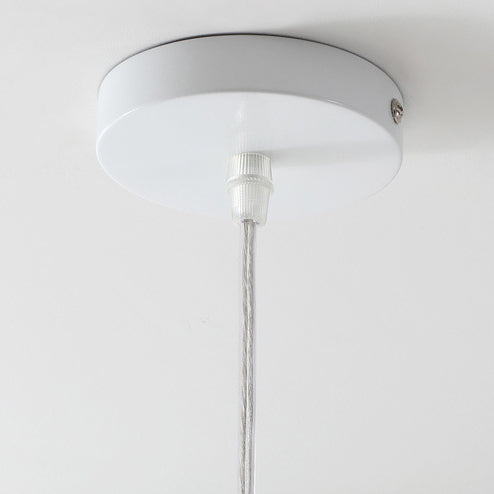 Contemporary Creative Bird Round Cylinder Resin Glass 1-Light Pendant Light For Dining Room