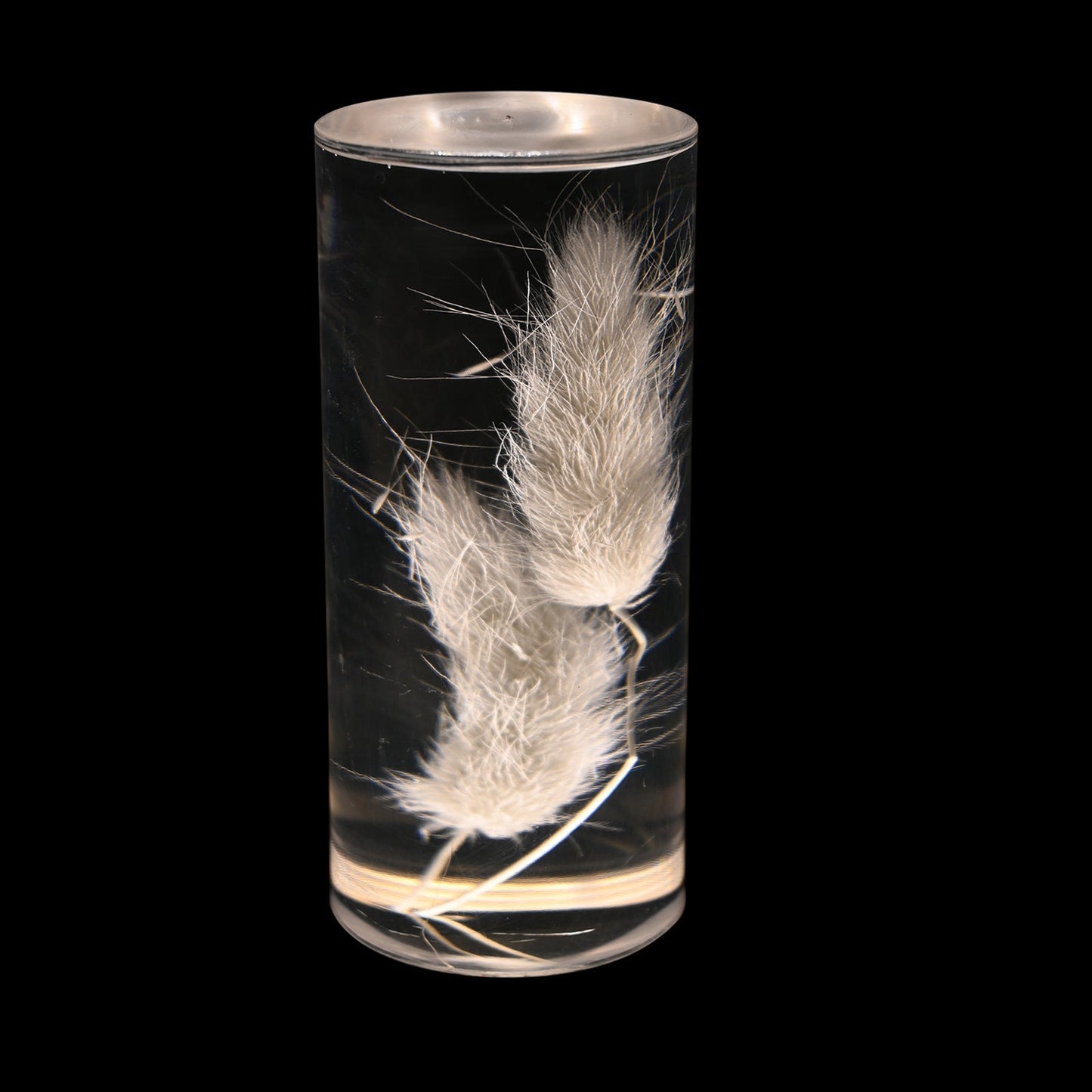 Contemporary Creative USB Rechargeable Eternal Flower Daisy Dandelion Cylinder Iron Acrylic LED Table Lamp Night Light For Bedside