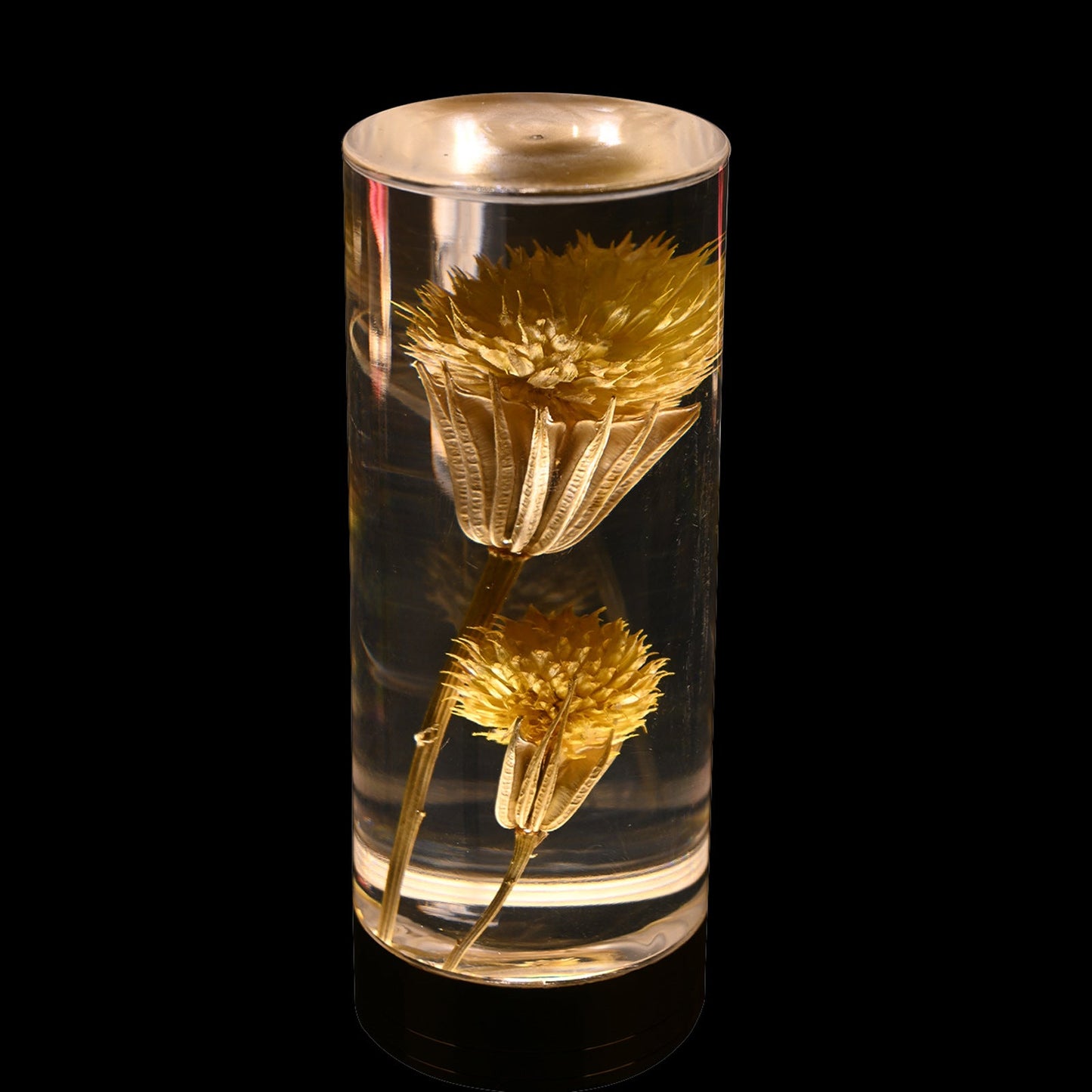 Contemporary Creative USB Rechargeable Eternal Flower Daisy Dandelion Cylinder Iron Acrylic LED Table Lamp Night Light For Bedside