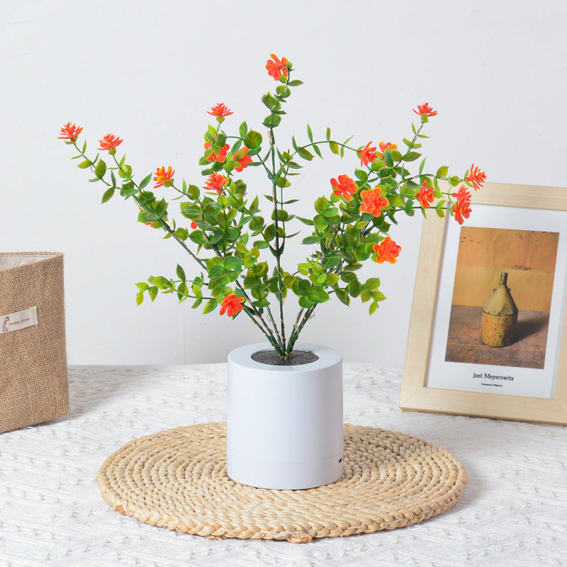 Modern Minimalist Plastic Flower Lotus LED Table Lamp For Living Room