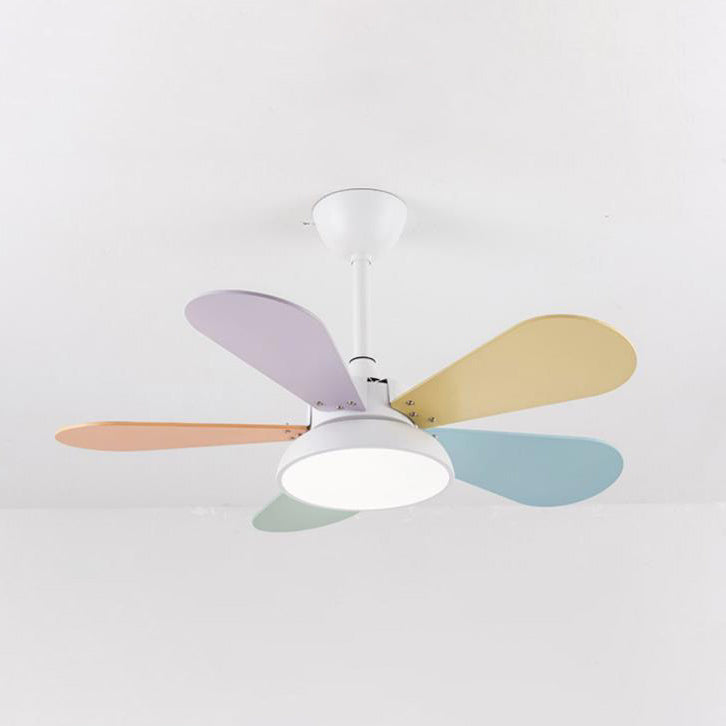 Simple Colorful Round Fan Leaf Kids Downrods Ceiling Fan Light