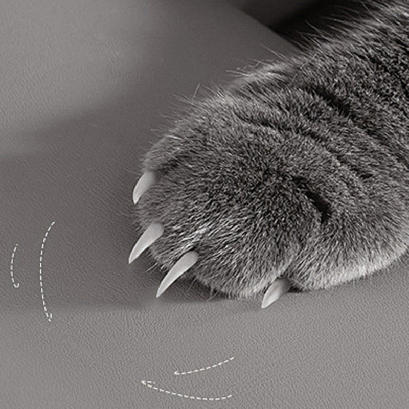 Modern Minimalist Microfiber Leather Wood Carbon Steel Sponge Square Elliptical Curved Dining Chair Backrest For Dining Room