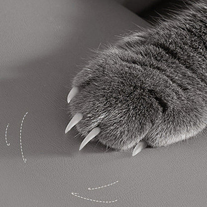 Modern Minimalist Microfiber Leather Wood Carbon Steel Sponge Square Elliptical Curved Dining Chair Backrest For Dining Room