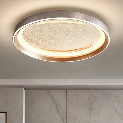 Modern Simplicity Aluminum Acrylic Round Starry Sky LED Flush Mount Ceiling Light For Living Room