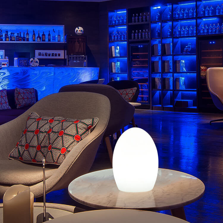RGB ABS Egg Shaped LED Decorative Table Lamp