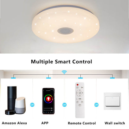 Smart Dimmable LED Remote Control Bluetooth Music Speaker Flush Mount Ceiling Light