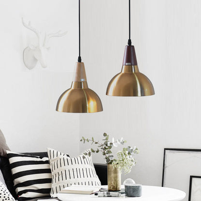 Contemporary Simplicity Iron Semicircle Shade 1-Light Pendant Light For Living Room
