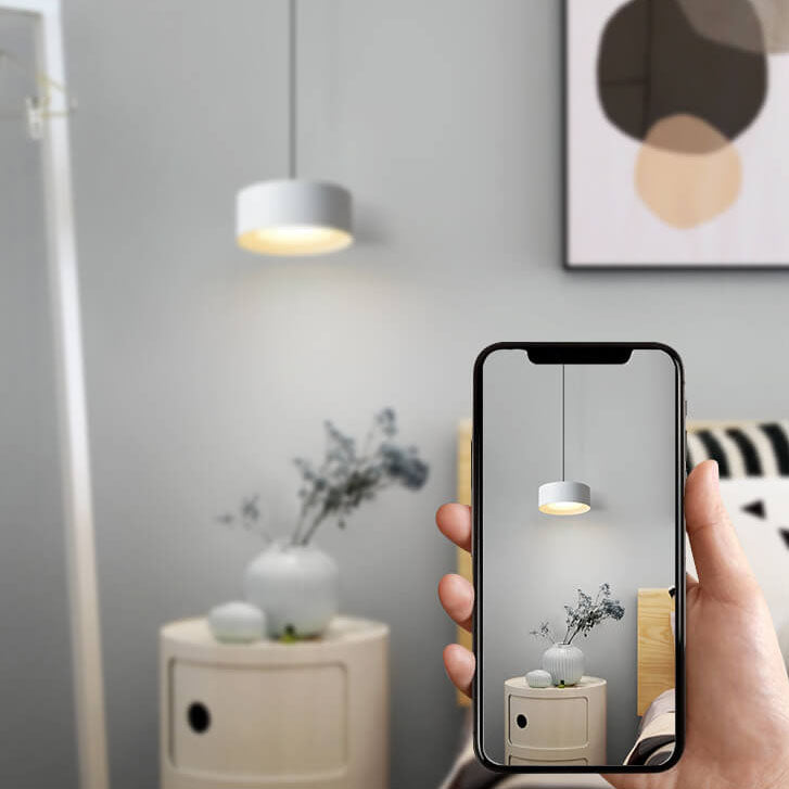 Modern Minimalist Round Head Iron LED Pendant Light