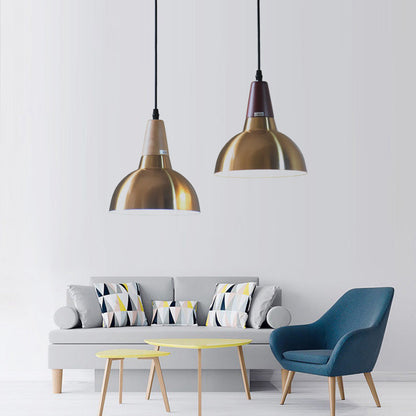 Contemporary Simplicity Iron Semicircle Shade 1-Light Pendant Light For Living Room