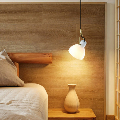 Modern Simplicity Iron Glass Dome Hemispheroid 1-Light Pendant Light For Dining Room
