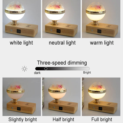 Creative Permanent Flower Night Light Smart Bluetooth Speaker LED Wireless Rechargeable Table Lamp