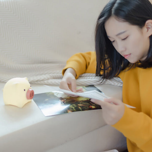 Creative Cute Pig Touch Timer LED Night Light Decorative Table Lamp