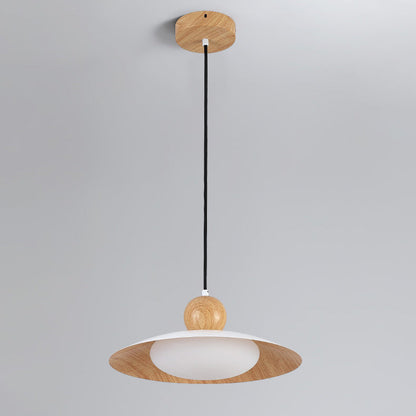 Contemporary Scandinavian Iron PE Acrylic Glass LED Pendant Light For Dining Room