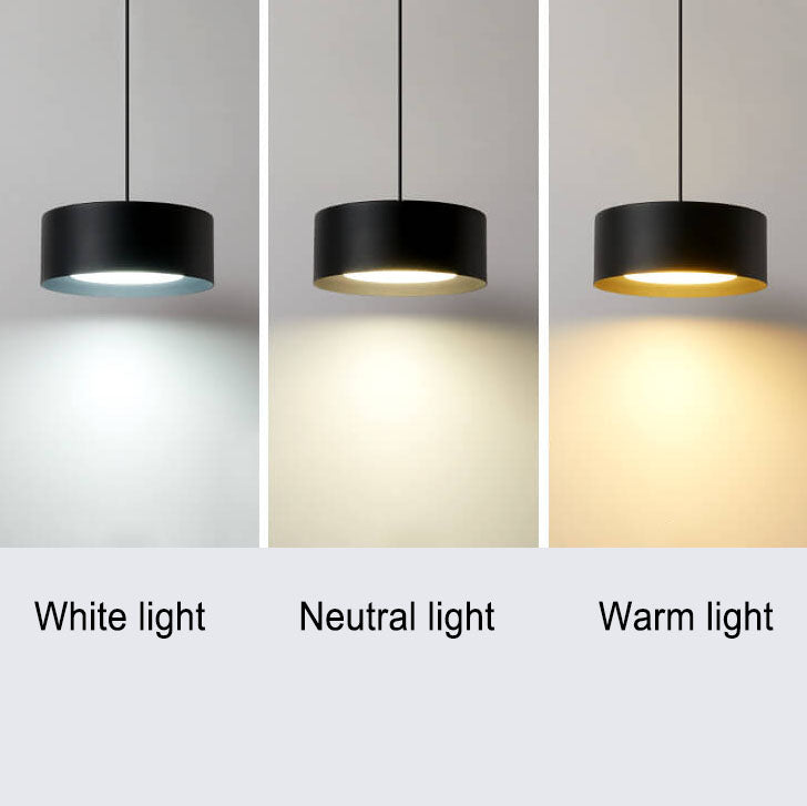 Modern Minimalist Round Head Iron LED Pendant Light