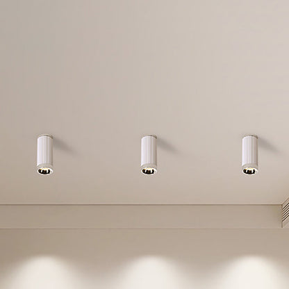 Modern Minimalist Cylindrical PC Aluminum LED Flush Mount Ceiling Light For Living Room