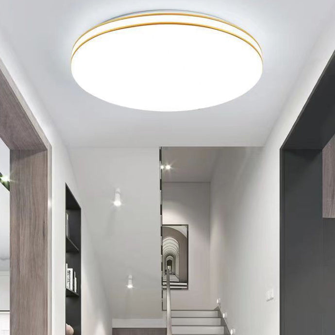 Modern Minimalist Iron Double Wire Edging Acrylic Shade LED Flush Mount Ceiling Light For Living Room
