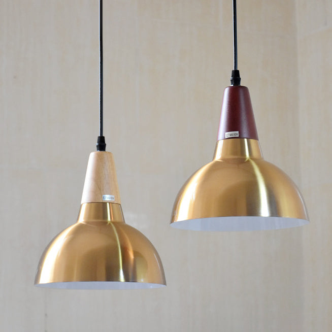 Contemporary Simplicity Iron Semicircle Shade 1-Light Pendant Light For Living Room