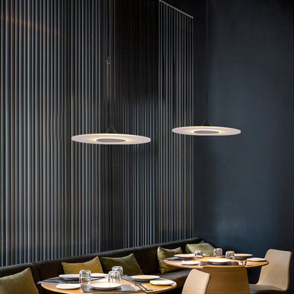 Modern Minimalist Acrylic Disc Shade Iron LED Pendant Light For Living Room