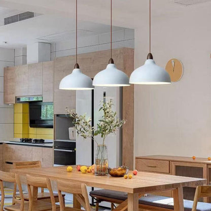 Japanese Simple Iron Dome Solid Wood Top 1-Light Pendant Light