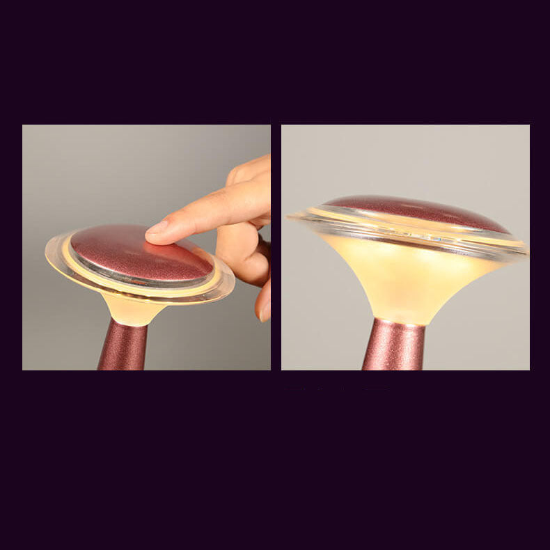 Modern Iron Acrylic LED Night Light Table Lamp