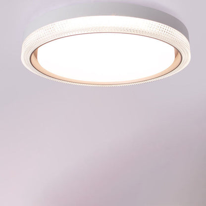 Modern Simple Acrylic Round Ring Iron LED Flush Mount Ceiling Light