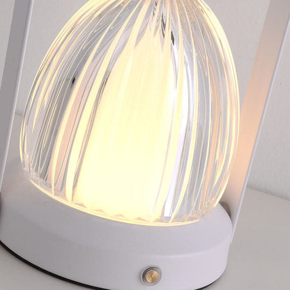 Danish Creative Portable Acrylic Hazelnut Shade Iron Base LED USB Table Lamp